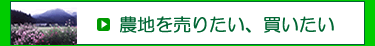 �_�n�𔄂肽���A��������