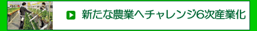 �V���Ȕ_�Ƃւ̃`�������W6���Y�Ɖ�