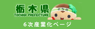 栃木県　6次産業化