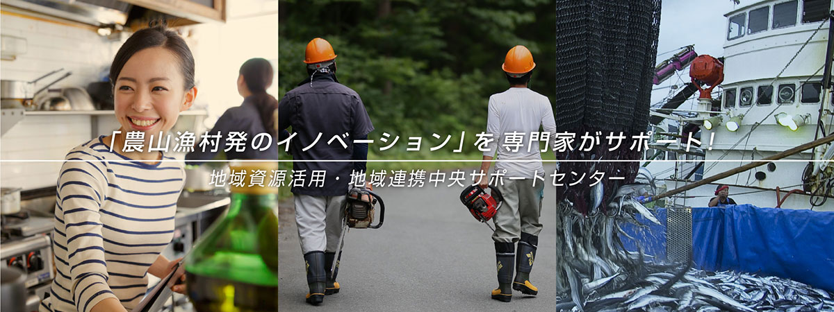 地域資源活用・地域連携中央サポートセンター