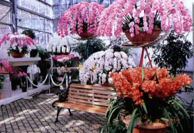 企画展示室
